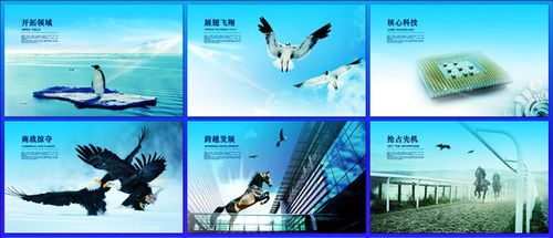 新时代中国特色滚球体育app下载官方网站大国外交取得的成就(中国特色大国外交照片)
